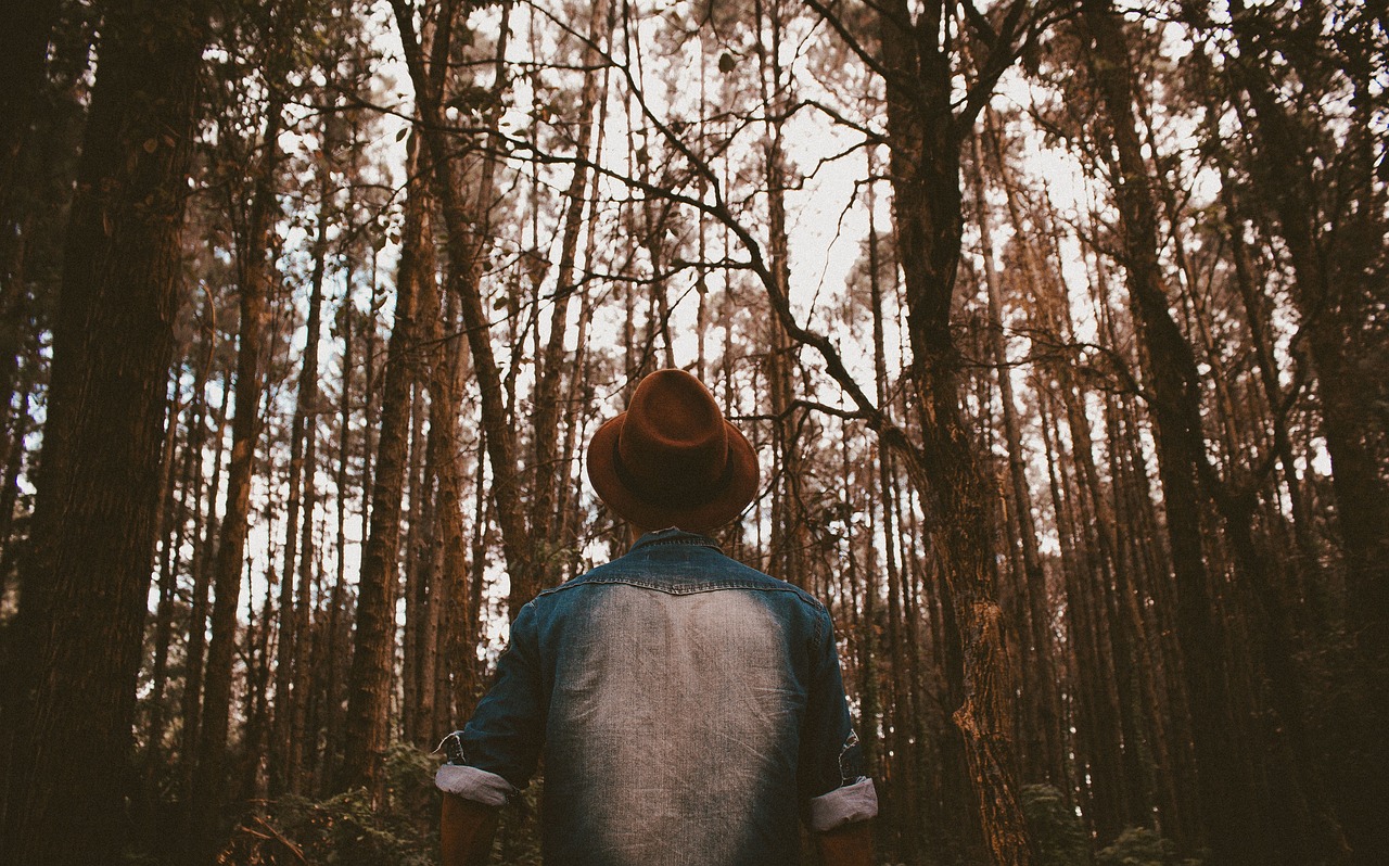 最新哲理故事，探索人生智慧之路，启迪心灵启迪未来