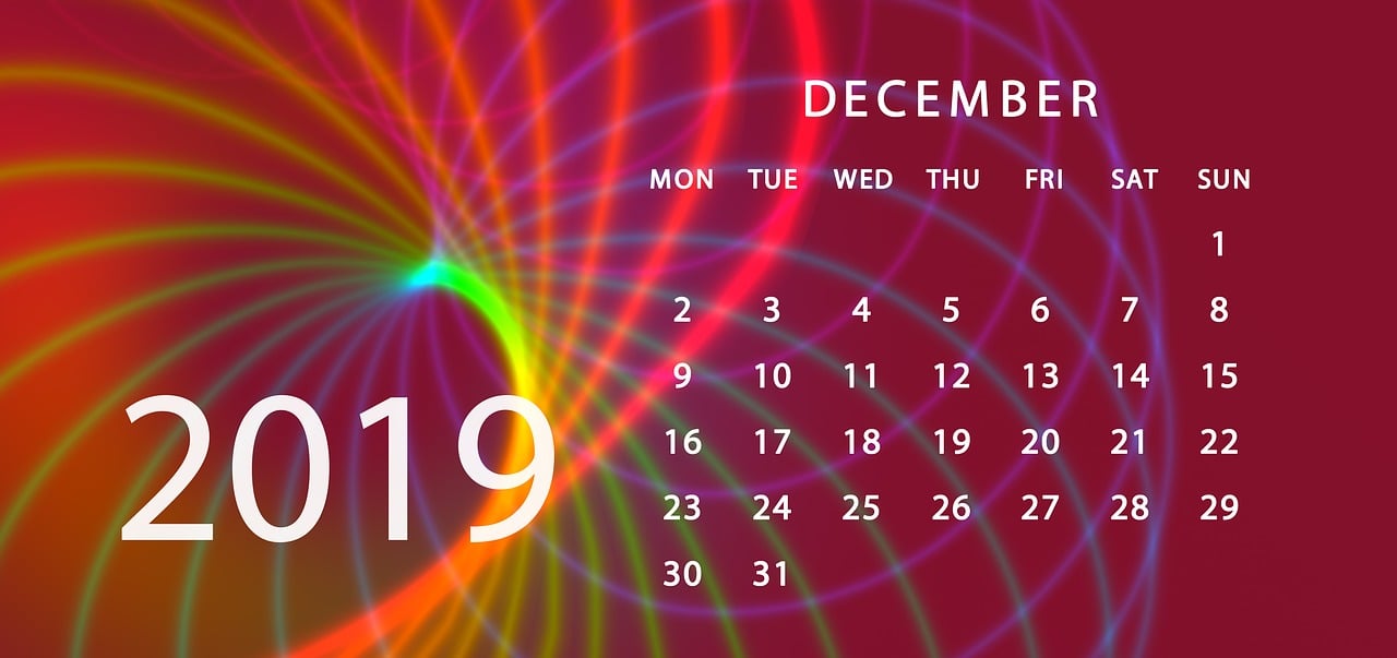 2024澳门天天开好彩大全app,全面解析解答解释问题_初级型51.733